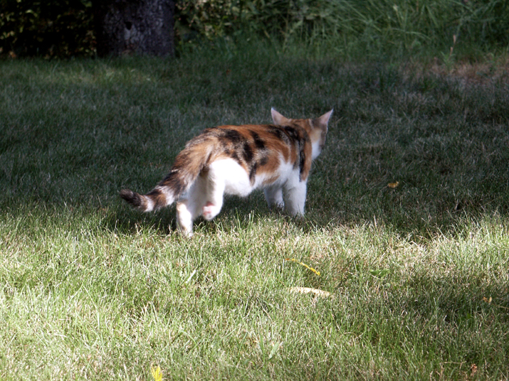 Caramel 08-04 016.jpg - DCF 1.0